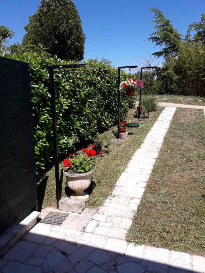 Apartment Nena- Apartman Sa Posebnim Ulazom U Prizemlju, Terasom I Zelenom Okucnicom Rakotule Exteriér fotografie