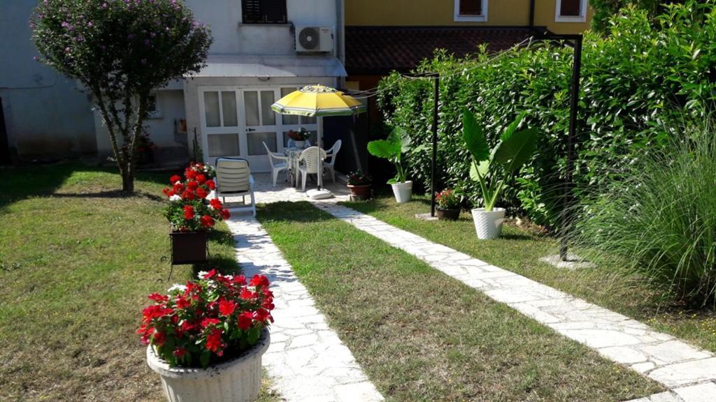 Apartment Nena- Apartman Sa Posebnim Ulazom U Prizemlju, Terasom I Zelenom Okucnicom Rakotule Exteriér fotografie