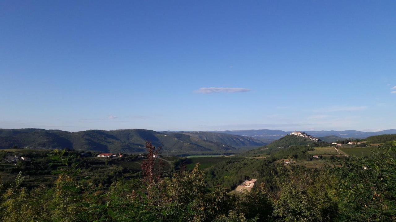 Apartment Nena- Apartman Sa Posebnim Ulazom U Prizemlju, Terasom I Zelenom Okucnicom Rakotule Exteriér fotografie